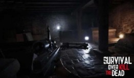 死亡无限在线观看,揭秘虚拟世界中的生死轮回