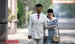 父母爱情在线观看视频,重温经典家庭温馨时光